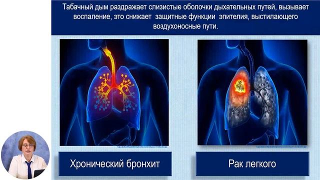 Биология, 7-й класс, Воздействие табака на организм человека смотреть онлайн