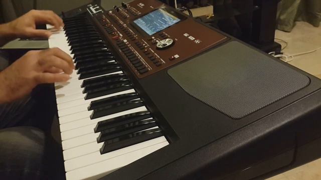 The Love of Tired Swans cover korg pa700 смотреть онлайн