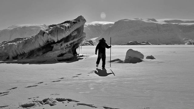 Анонс: Открытие передвижной выставки Icebergs/Айсберги смотреть онлайн