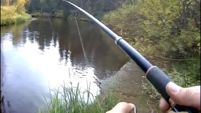 ХАРИУС.РЫБАЛКА НА ЛЕСНЫХ РЕЧКАХ ПЕЧОРЫ./РЫБАЛКА СЕВЕРА НА ПЕЧОРЕ. смотреть онлайн