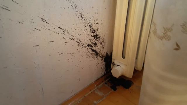 Хорошая снежная погода и последствия смотреть онлайн