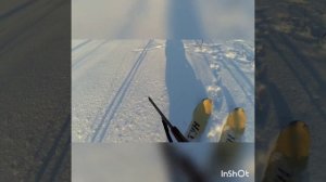 охота на лису с подхода