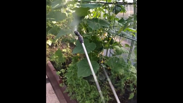 Аккумуляторный опрыскиватель PATRIOT PT-5AC смотреть онлайн