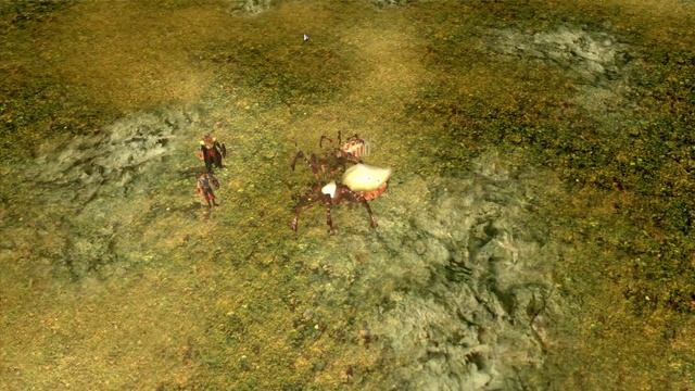 Gods: Lands of Infinity SE - Part 8, Spiders Galore смотреть онлайн