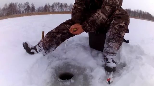 Рыбалка зимой на Шатурских озерах. Ловля на мормышку смотреть онлайн