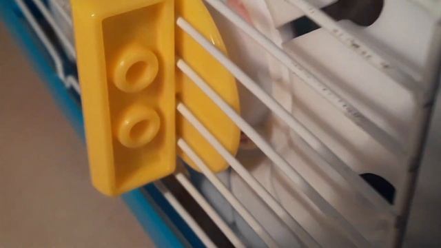 Всё про клетку джунгарского хомяка смотреть онлайн