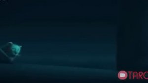 QIROL SHER  UZBEK TILIDA 2019 / КИРОЛ ШЕР - УЗБЕК ТИЛИДА 2019