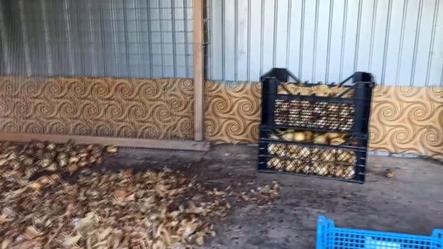 Дольше собиралась и за один день все ухнула смотреть онлайн