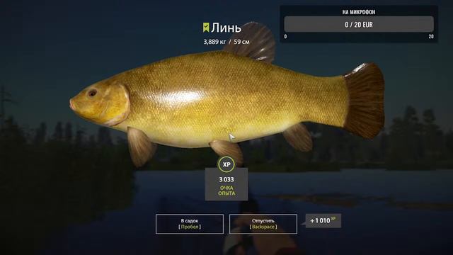 стрим по русской рибалке 4 озеро.медвежье ловим льня золотистого смотреть онлайн