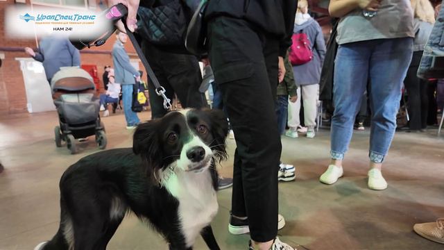 Проводили лето праздником!