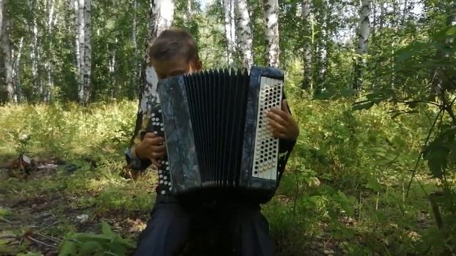 Игра на баяне. КАДРИЛЬ! смотреть онлайн
