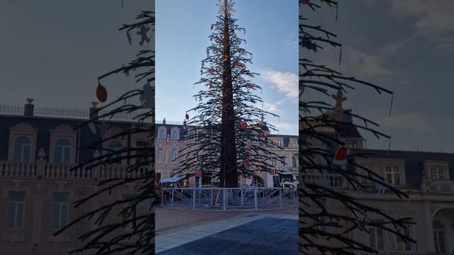 Новогодняя елка в Батуми смотреть онлайн