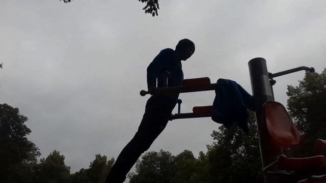 Мои результаты в базовых упражнениях.(Турник, брусья и отжимания)! смотреть онлайн