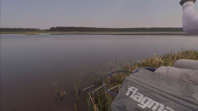 Фидер. Май 2018. Колупание мелкосраньки. Часть 2. смотреть онлайн