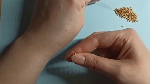 Браслет из бисера для новичков