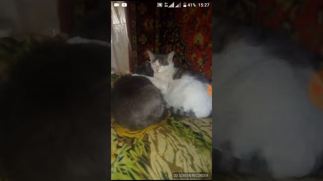Квайф хит и микробик игра смотреть онлайн
