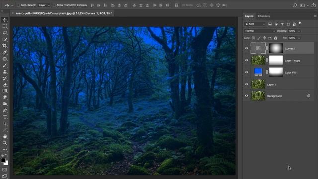 PHOTOSHOP TUTORIAL - Create Magic Night Forest Background смотреть онлайн