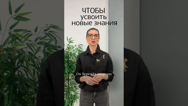 Чтобы легче усваивать новую информацию и знания смотреть онлайн
