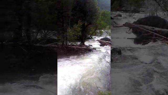 Учар! Учар! Учар! Его должен увидеть каждый!