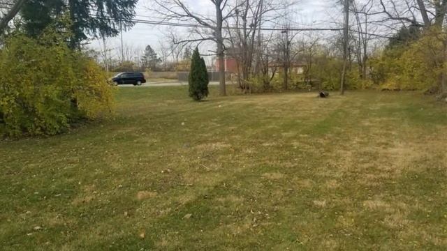 117 W Parkwood Drive смотреть онлайн
