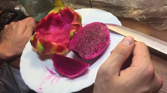 Ремонтный Университет