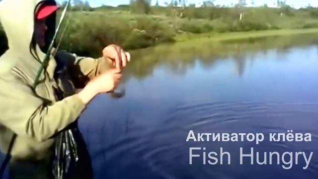Активатор клева FishHungry смотреть онлайн