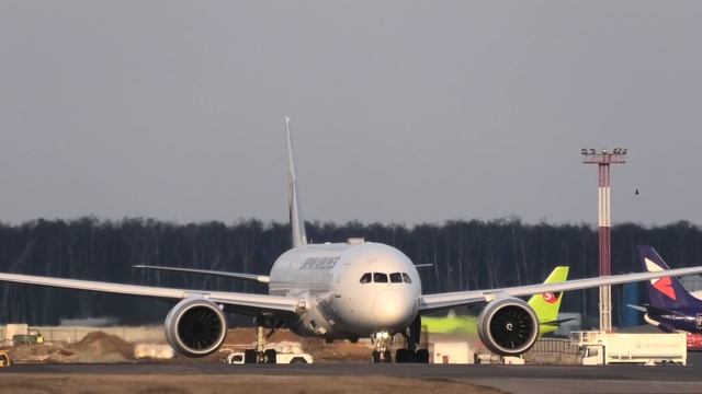 Красивый Boeing 787 Dreamliner в Домодедово | Споттинг 4K смотреть онлайн