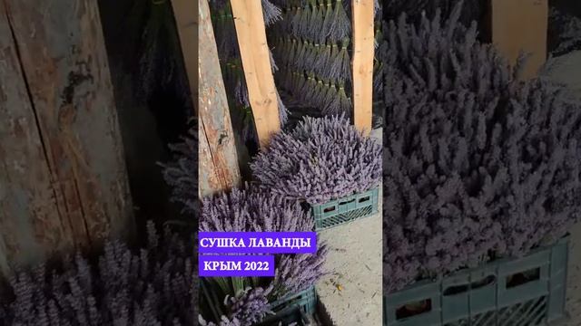 Фотоэпиляция: комфорт и результат в одной процедуре