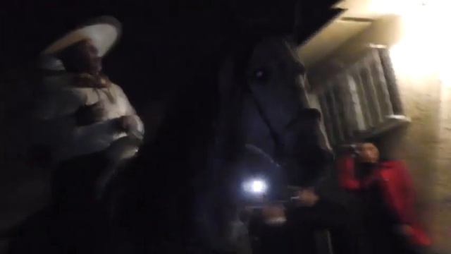 La Serenata de Daniel Arreola para Nancy Gonzalez!!!! смотреть онлайн