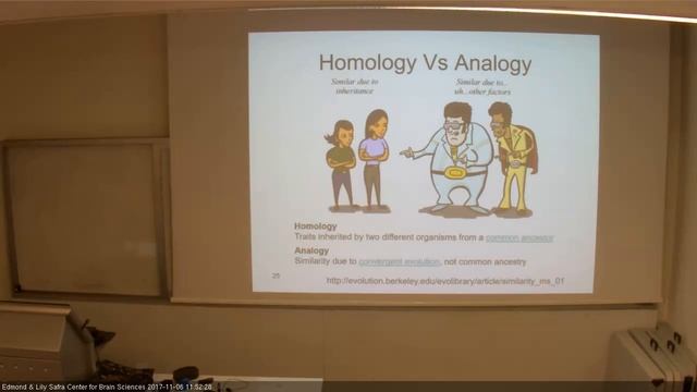 THE MOLECULAR BASIS OF NEURONAL PROCESSING 06112017 смотреть онлайн