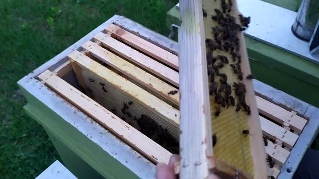 Начали тянуть вощину. Есть набрыск. Извините за звук (что-то пошло не так) ? смотреть онлайн