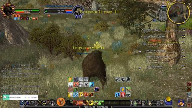 #26 Великий Могильник: Лабиринт. Пустоши. Беорнинг (22-23 уровни) ✦ LOTRO. Сложность 9 смотреть онлайн