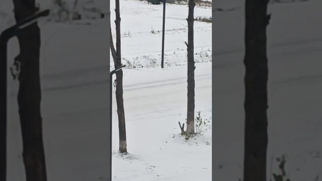 ПАЗ 4234 по снежной дороге #паз #автобус #паз4234 смотреть онлайн