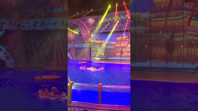 ВДНХ-Океанариум- Москва часть5 смотреть онлайн