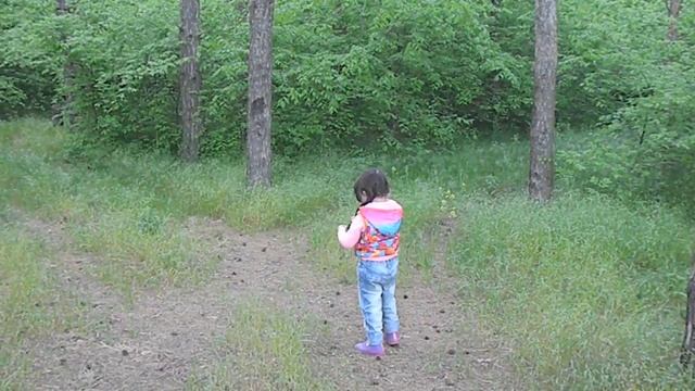 Мася в лесу собирает шишки смотреть онлайн