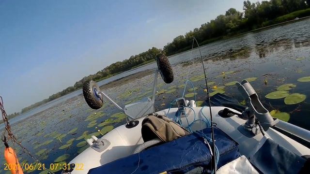 Отчёт о рыбалке на хищника на Красном Камне .Сом на щучью блесну! смотреть онлайн