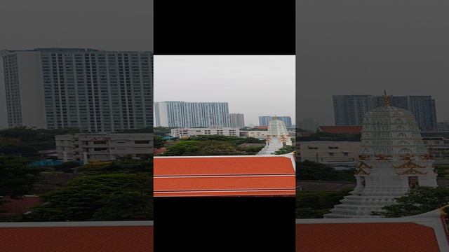 Большой Будда Бангкока эскадрилия дрессированных попугаев смотреть онлайн