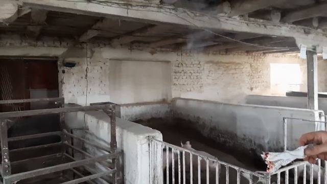 Купируем ХВОСТЫ. Запускаем ВЕНТИЛЯТОРЫ. смотреть онлайн