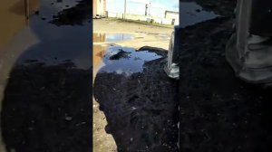 Трактор МТЗ-3522 экспресс-обзор от Владислава Перегудова