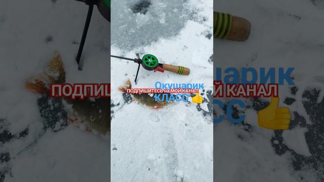 РЫБАЛКА на МОРМЫШКУ 🐟🌊🐟🎣🐟🌊🏞️🌲🌲🌲 смотреть онлайн