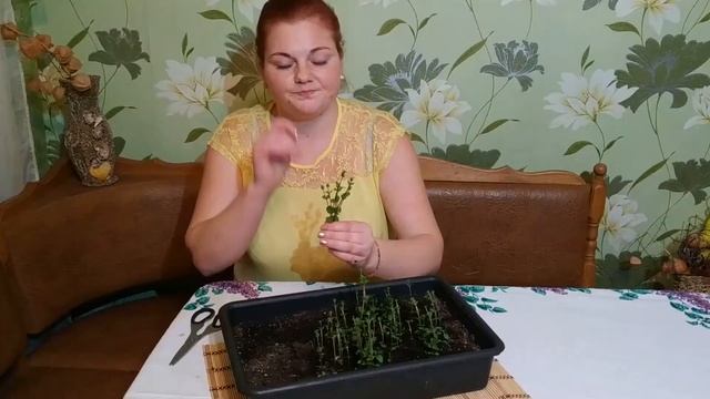 Научные Эксперименты