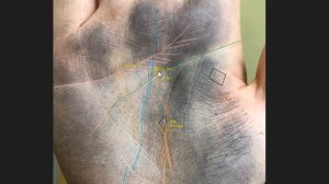 ЗНАКИ ОПАСНОСТИ НА РУКЕ