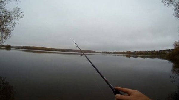 Zetrix Solver 742L Рыбалка на джиг 2023