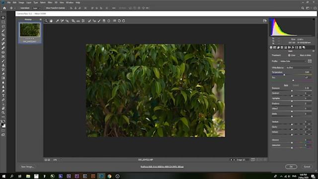 How to import RAW image in photoshop смотреть онлайн