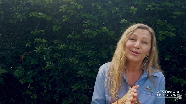 Sue Bampton Landscape Designer on ACS' Landscaping Courses смотреть онлайн