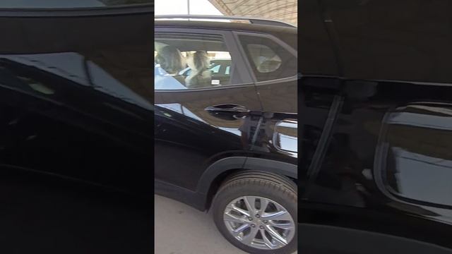 CHEVROLET TRACKER 2023-YIL SOTILADI XORAZM MOSHIN ? BOZORDA смотреть онлайн