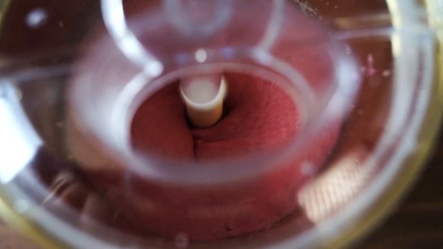 Йогурт из пророщенной зеленой гречки смотреть онлайн