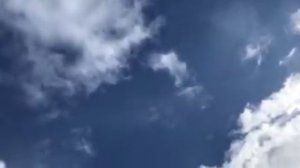 Голуби у Виктора-41 (Питомник Западный ) 8-906-727-22-43