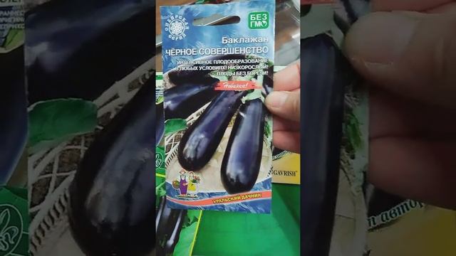 Победили длинные! Про популярные сорта баклажан