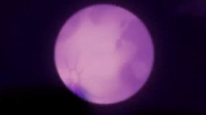 Friday Night Funkin Corruption || Extractor and Headshot Recreation V2